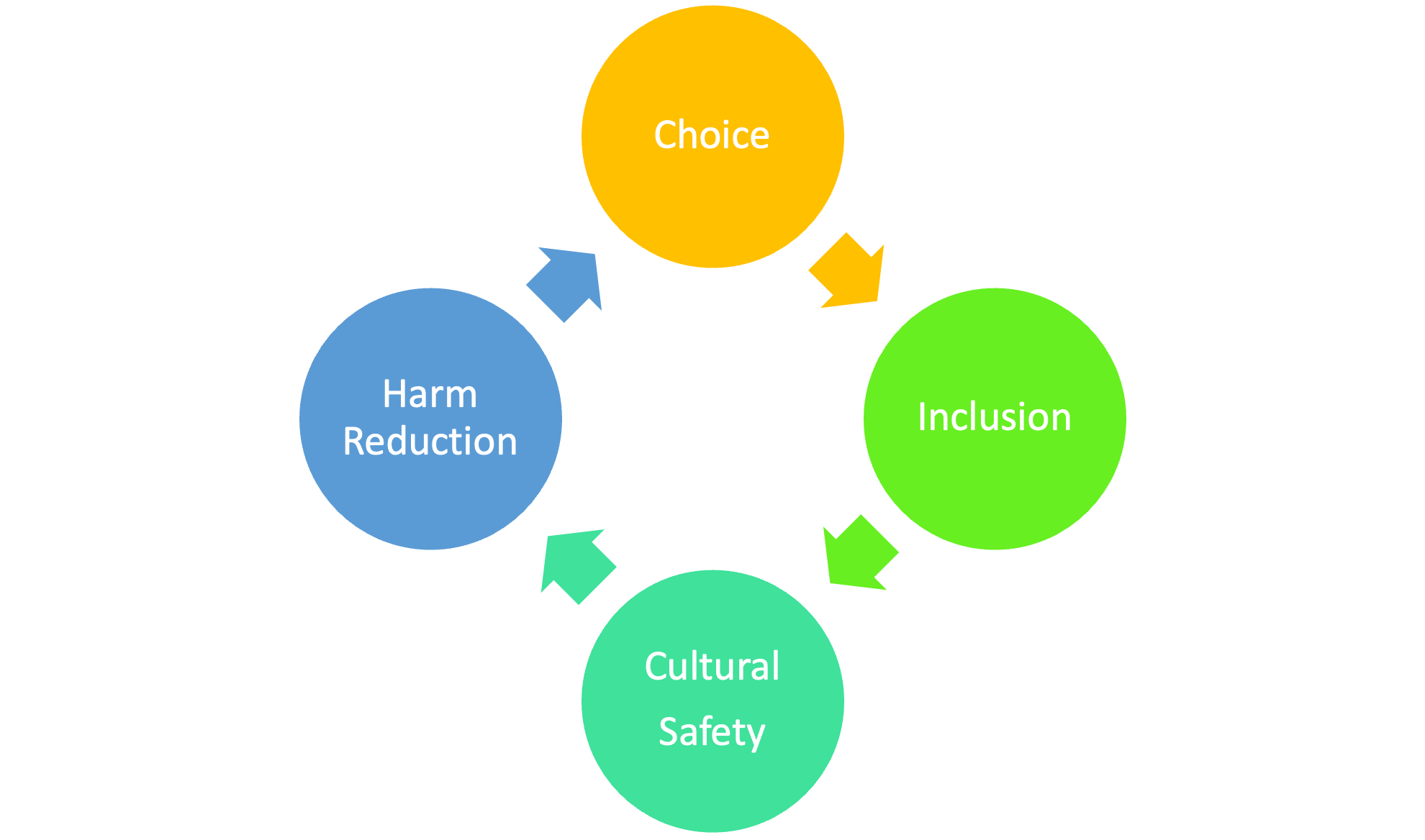 Indigenous health equity and data collection decolonizing data and